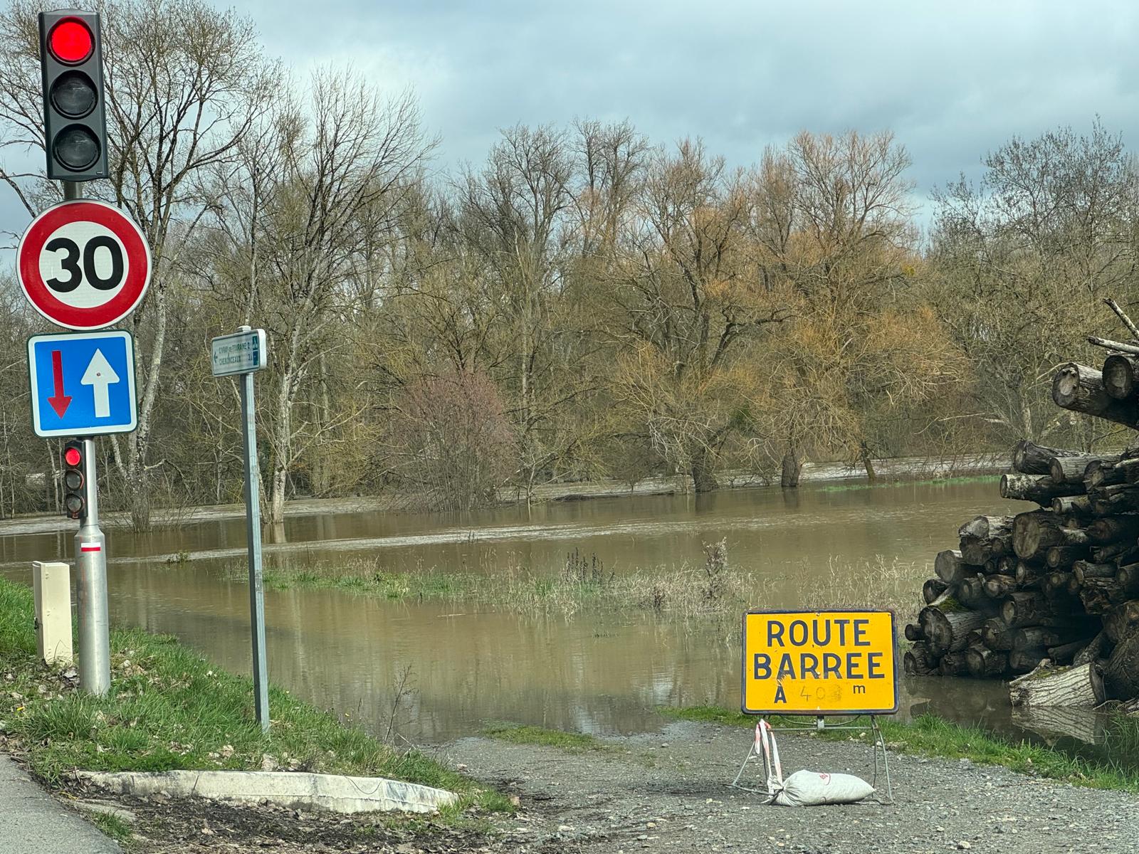 WhatsApp Image 2026 02 17 at 14.14.03